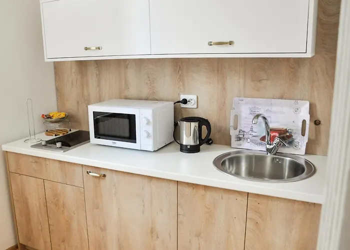 Apartment Maroon Free Parking Sarajevo